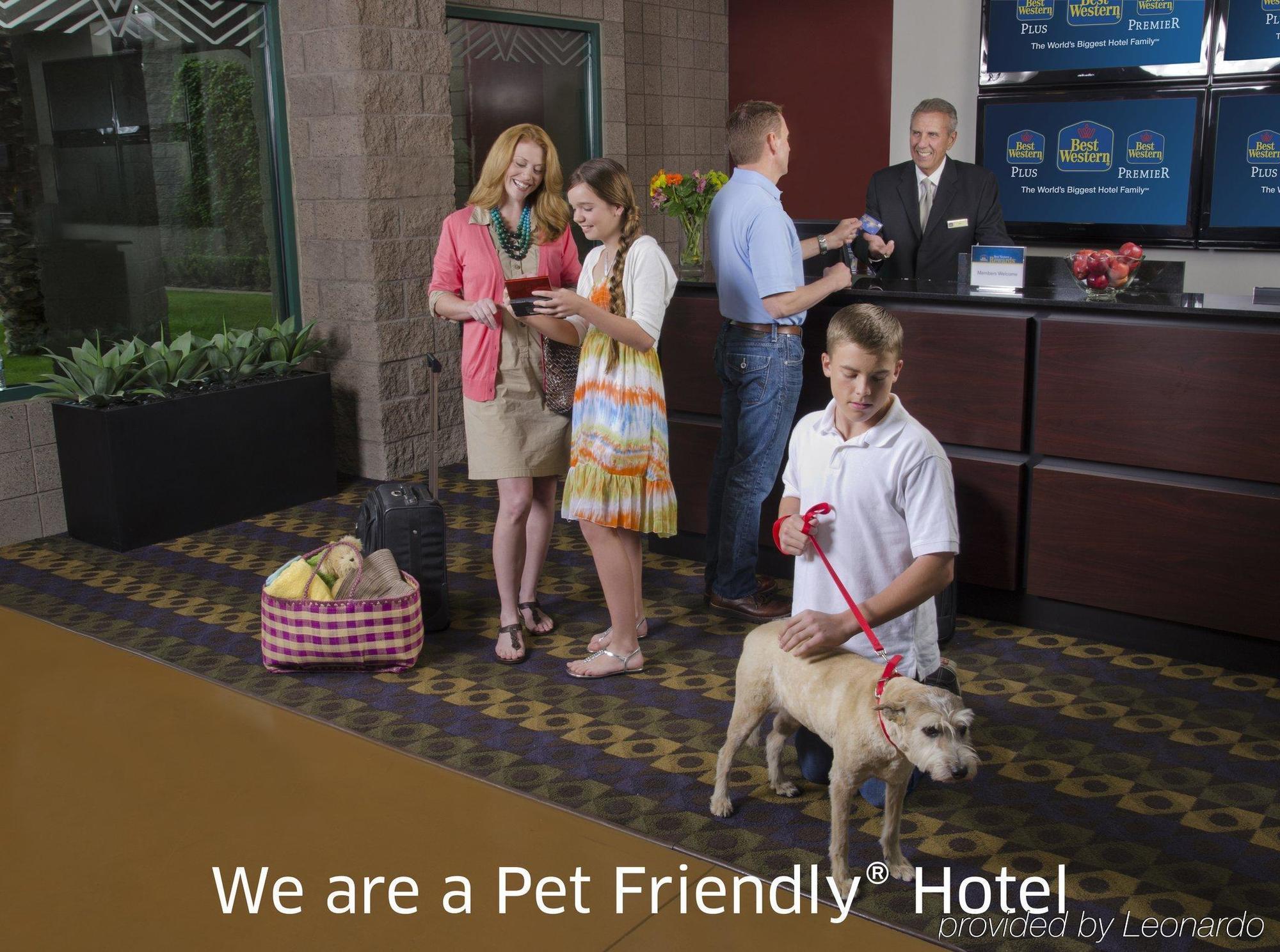 Western Cedar Bluff Hotel 3*